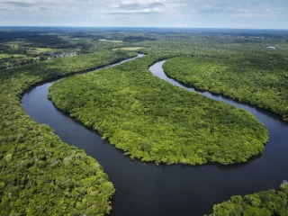 Aerial view of the Vaupés River winding through the rainforest in Guaviare, Colombia, photographed from above; a clear portrait of the Amazon’s vastness and living pulse.