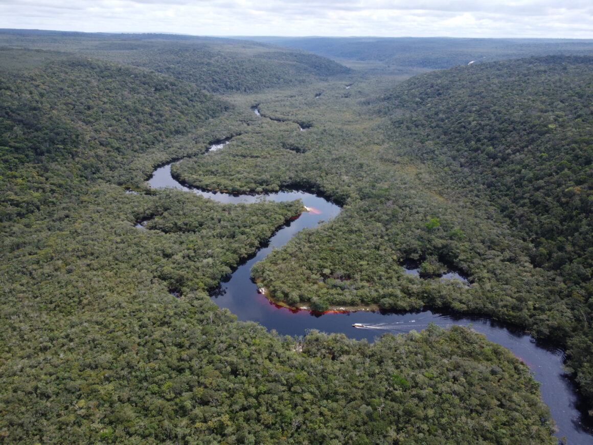 Vista aérea del río Caquetá serpenteando a través de la selva amazónica en Colombia, mostrando conectividad ecológica a gran escala y un sistema de biodiversidad intacto.