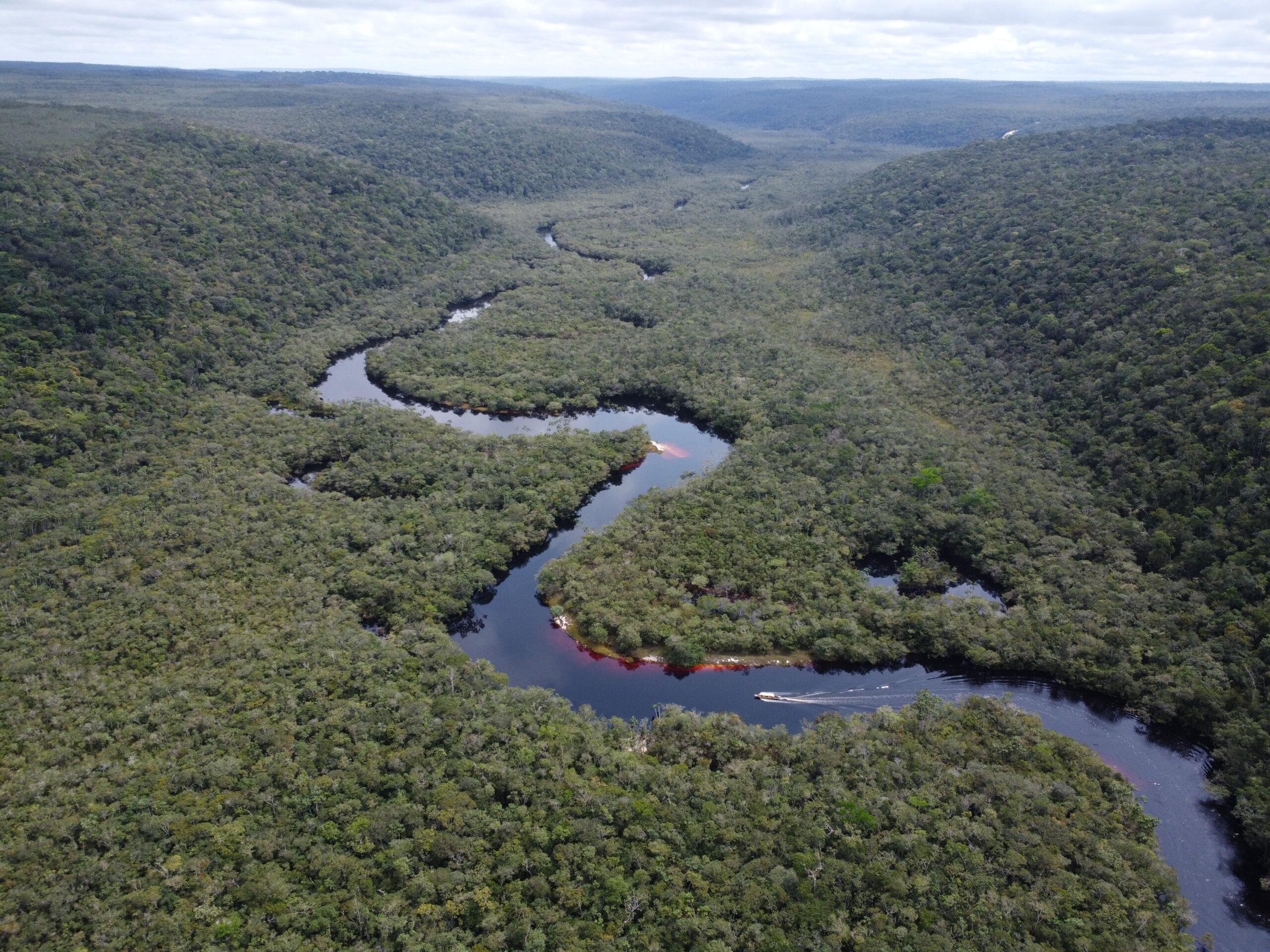 Vista aérea del río Caquetá serpenteando a través de la selva amazónica en Colombia, mostrando conectividad ecológica a gran escala y un sistema de biodiversidad intacto.